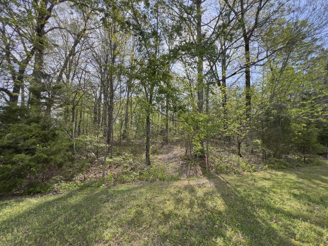 0 Valley Road, Fairview, TN 37062