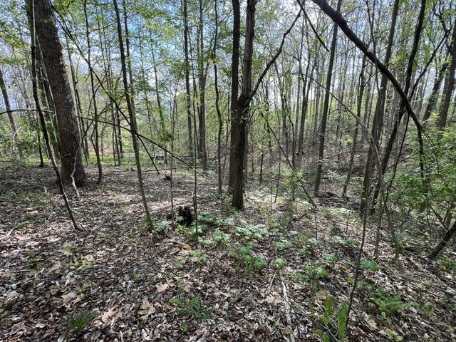 0 Valley Road, Fairview, TN 37062