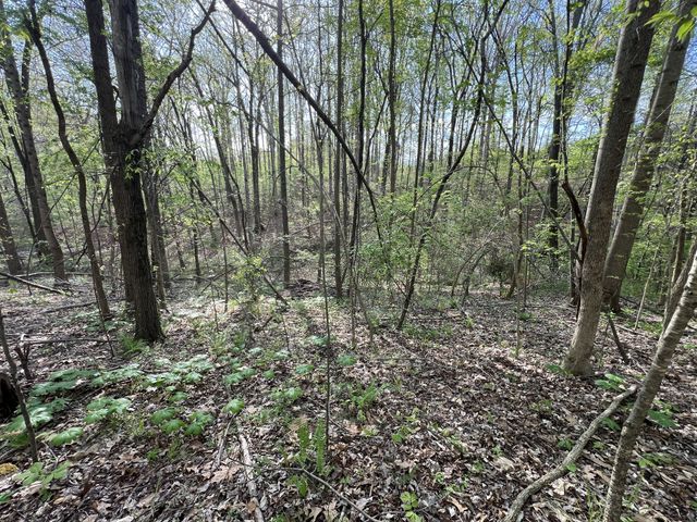 0 Valley Road, Fairview, TN 37062