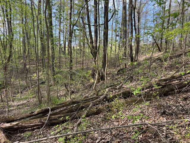 0 Valley Road, Fairview, TN 37062