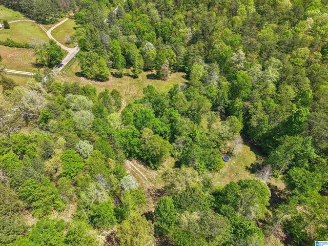 1678 HAYS CEMETERY ROAD, Hayden, AL 35079