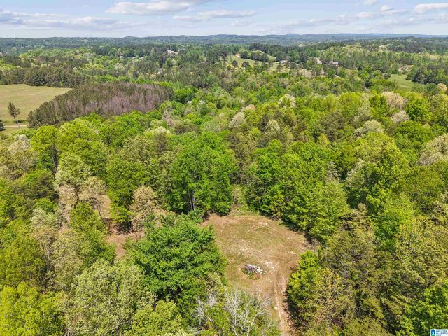 1678 HAYS CEMETERY ROAD, Hayden, AL 35079