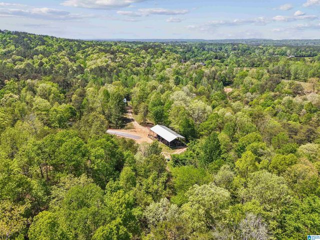 1678 HAYS CEMETERY ROAD, Hayden, AL 35079