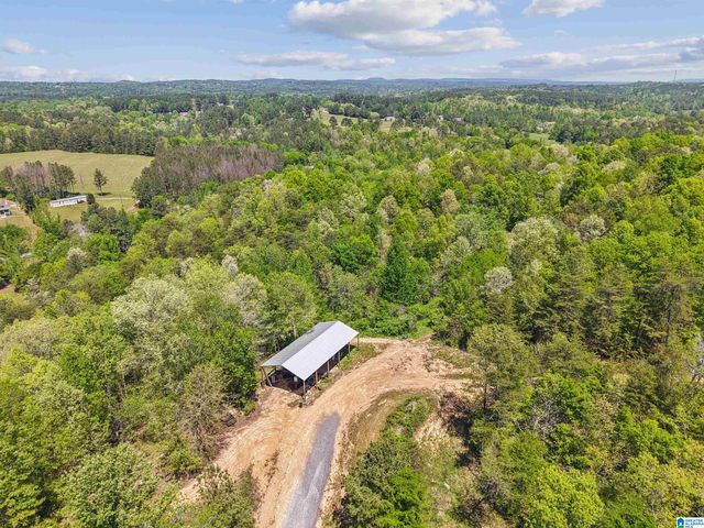 1678 HAYS CEMETERY ROAD, Hayden, AL 35079