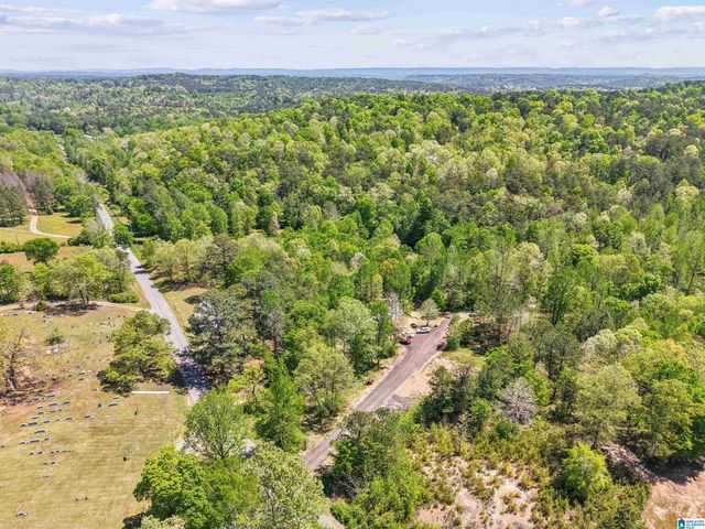 1678 HAYS CEMETERY ROAD, Hayden, AL 35079