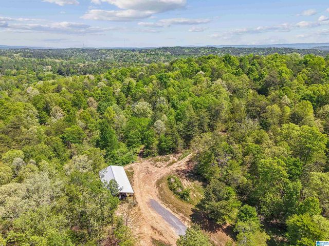 1678 HAYS CEMETERY ROAD, Hayden, AL 35079