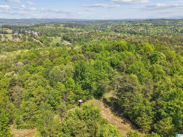 1678 HAYS CEMETERY ROAD, Hayden, AL 35079