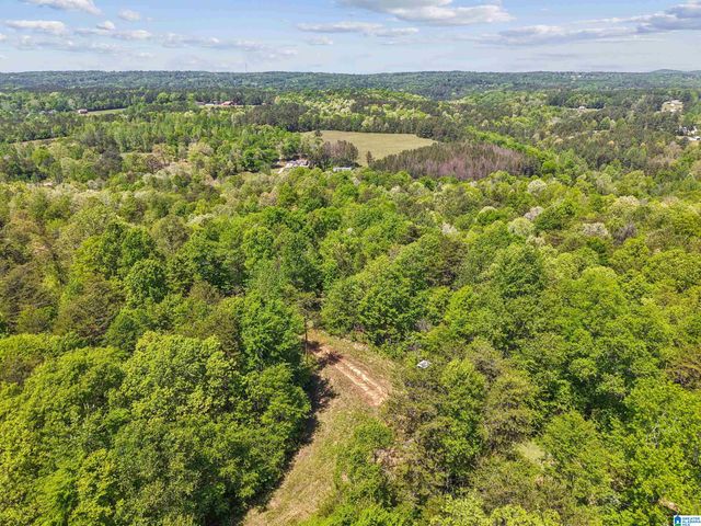 1678 HAYS CEMETERY ROAD, Hayden, AL 35079