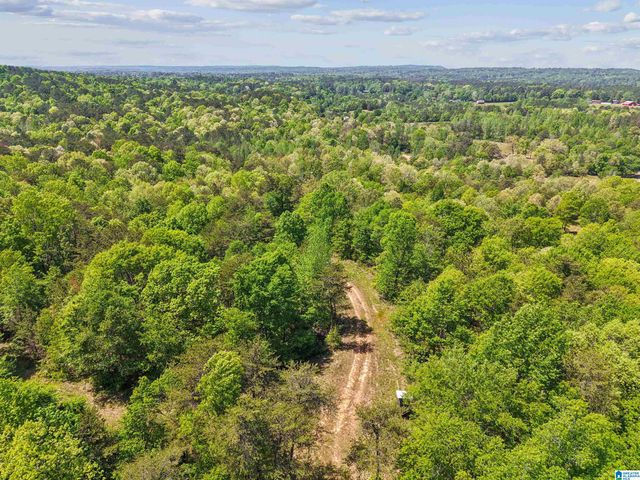 1678 HAYS CEMETERY ROAD, Hayden, AL 35079