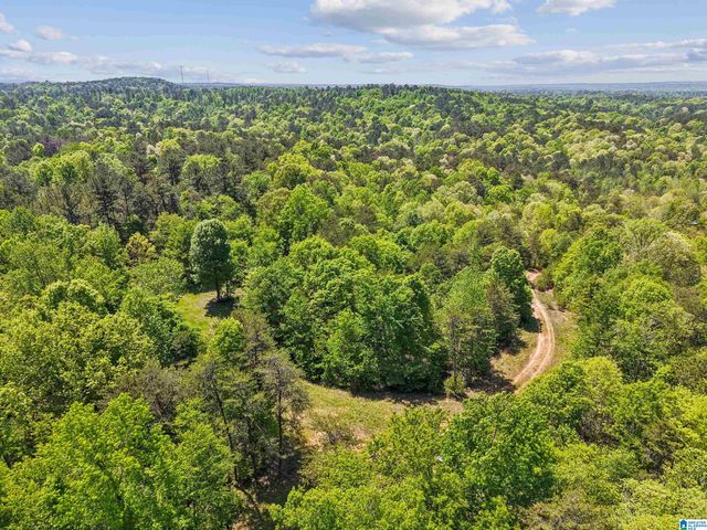 1678 HAYS CEMETERY ROAD, Hayden, AL 35079