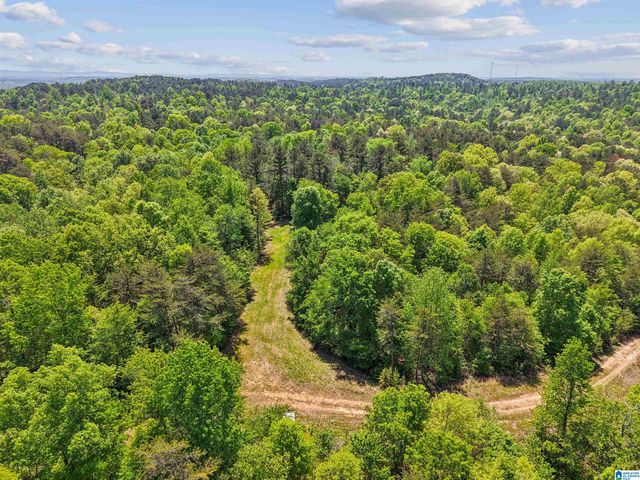 1678 HAYS CEMETERY ROAD, Hayden, AL 35079