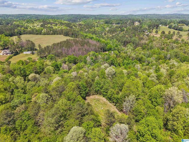 1678 HAYS CEMETERY ROAD, Hayden, AL 35079