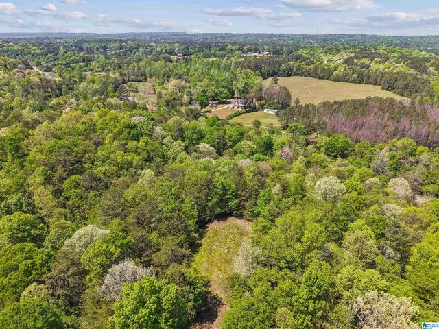 1678 HAYS CEMETERY ROAD, Hayden, AL 35079