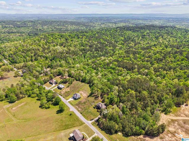 1678 HAYS CEMETERY ROAD, Hayden, AL 35079