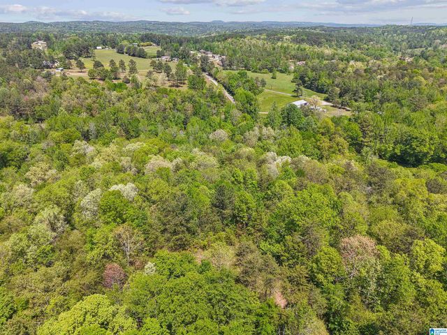 1678 HAYS CEMETERY ROAD, Hayden, AL 35079