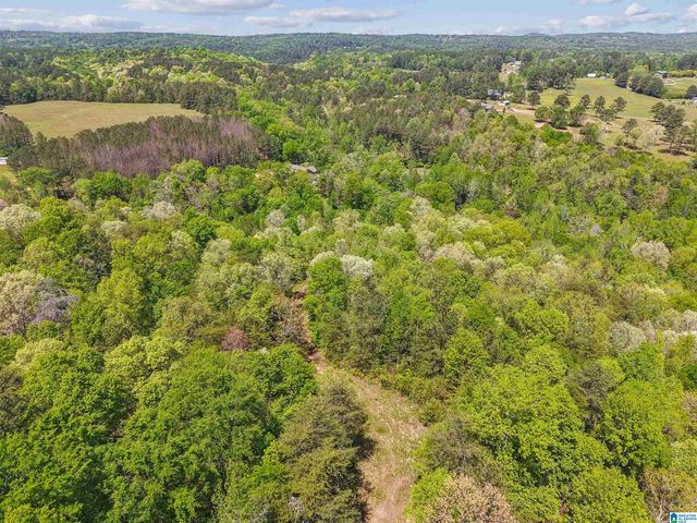 1678 HAYS CEMETERY ROAD, Hayden, AL 35079