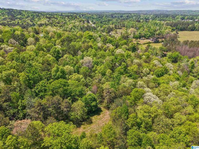 1678 HAYS CEMETERY ROAD, Hayden, AL 35079