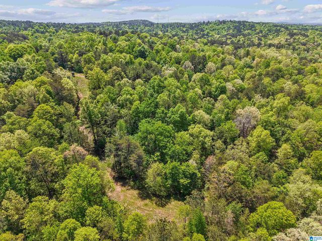 1678 HAYS CEMETERY ROAD, Hayden, AL 35079