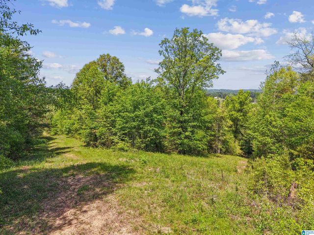 1678 HAYS CEMETERY ROAD, Hayden, AL 35079
