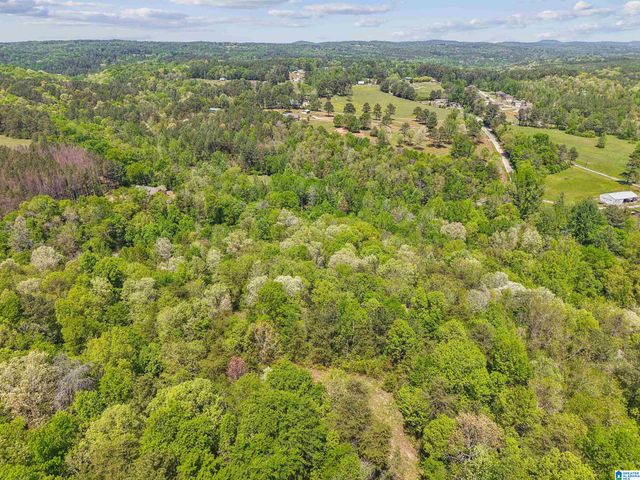 1678 HAYS CEMETERY ROAD, Hayden, AL 35079
