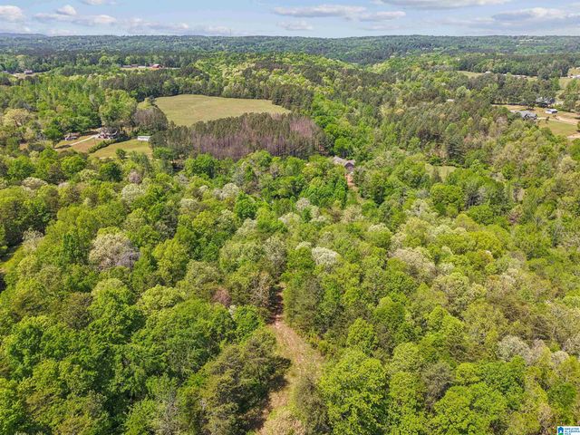 1678 HAYS CEMETERY ROAD, Hayden, AL 35079
