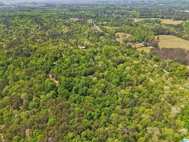 1678 HAYS CEMETERY ROAD, Hayden, AL 35079