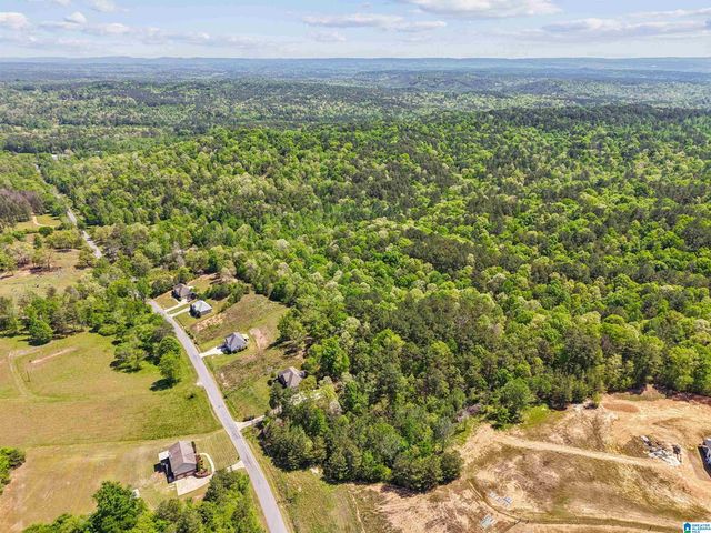 1678 HAYS CEMETERY ROAD, Hayden, AL 35079