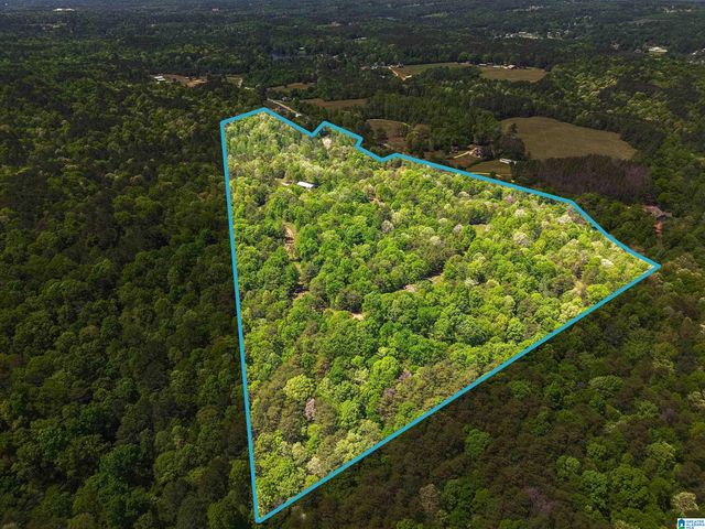 1678 HAYS CEMETERY ROAD, Hayden, AL 35079