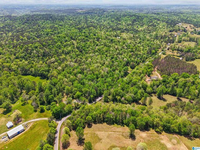 1678 HAYS CEMETERY ROAD, Hayden, AL 35079