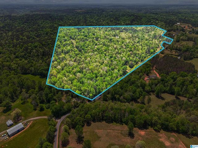 1678 HAYS CEMETERY ROAD, Hayden, AL 35079