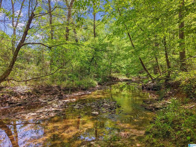 1678 HAYS CEMETERY ROAD, Hayden, AL 35079