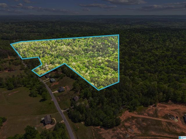 1678 HAYS CEMETERY ROAD, Hayden, AL 35079