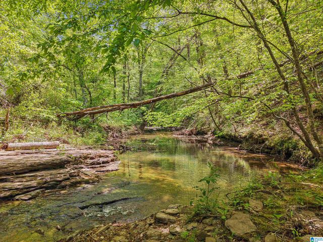 1678 HAYS CEMETERY ROAD, Hayden, AL 35079