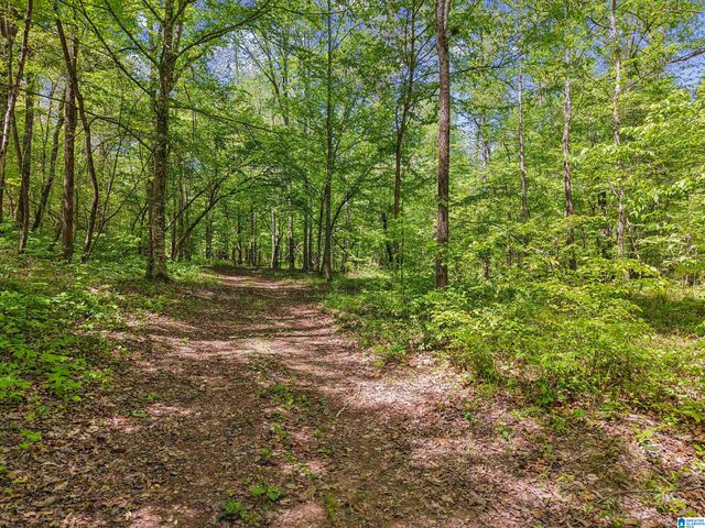 1678 HAYS CEMETERY ROAD, Hayden, AL 35079