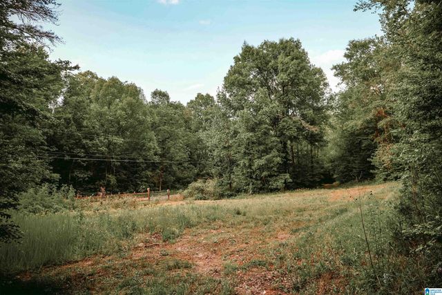 1678 HAYS CEMETERY ROAD, Hayden, AL 35079