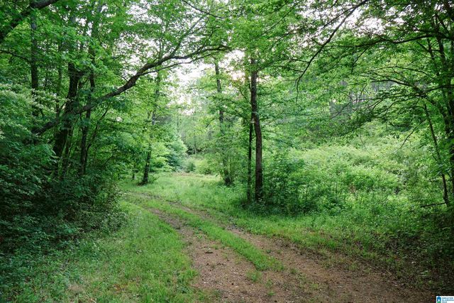 1678 HAYS CEMETERY ROAD, Hayden, AL 35079