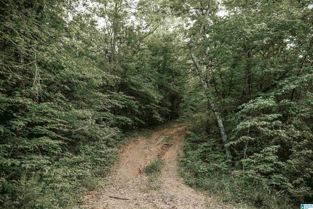 1678 HAYS CEMETERY ROAD, Hayden, AL 35079