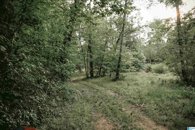 1678 HAYS CEMETERY ROAD, Hayden, AL 35079