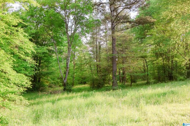 1678 HAYS CEMETERY ROAD, Hayden, AL 35079