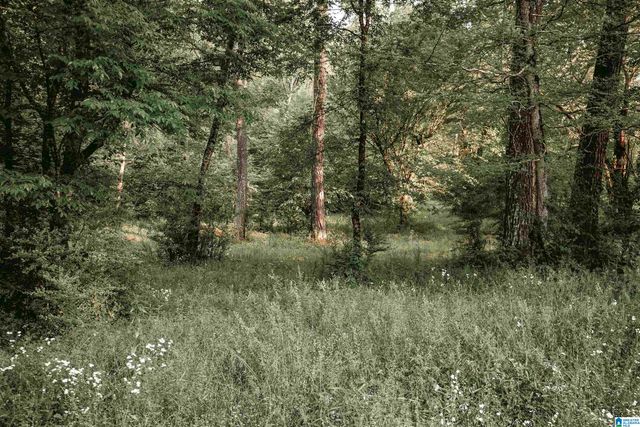 1678 HAYS CEMETERY ROAD, Hayden, AL 35079