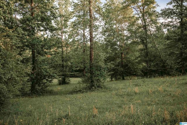 1678 HAYS CEMETERY ROAD, Hayden, AL 35079