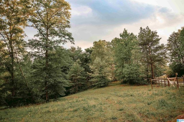 1678 HAYS CEMETERY ROAD, Hayden, AL 35079