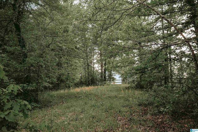 1678 HAYS CEMETERY ROAD, Hayden, AL 35079