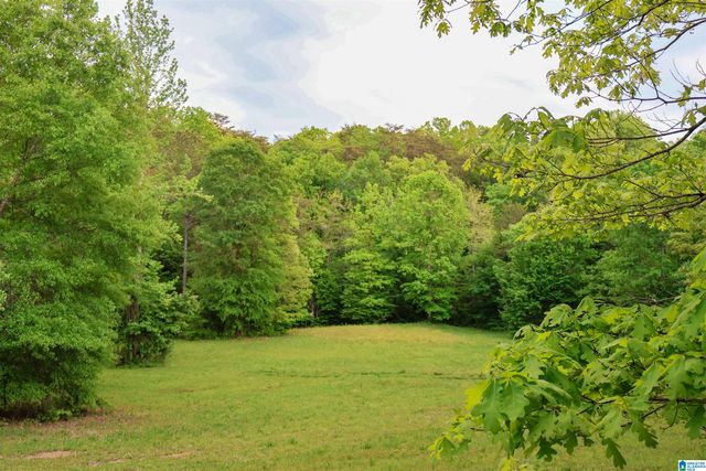 1678 HAYS CEMETERY ROAD, Hayden, AL 35079