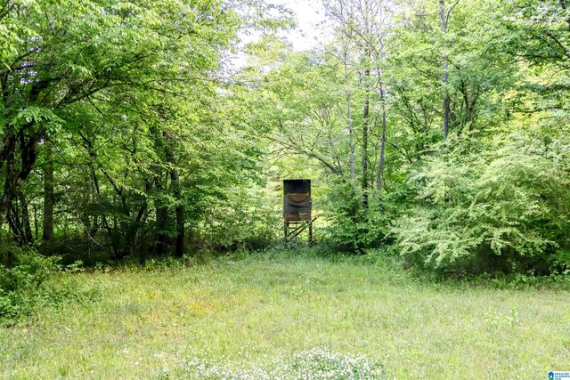 1678 HAYS CEMETERY ROAD, Hayden, AL 35079