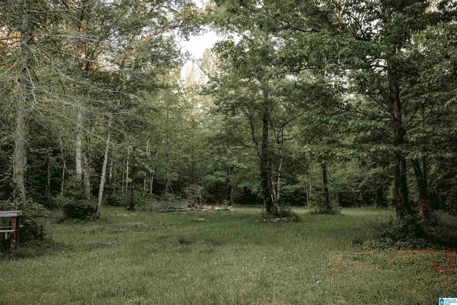1678 HAYS CEMETERY ROAD, Hayden, AL 35079