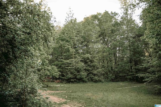 1678 HAYS CEMETERY ROAD, Hayden, AL 35079
