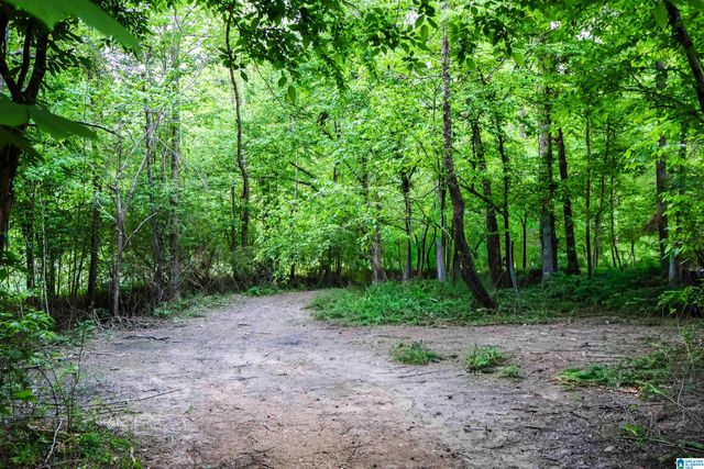 1678 HAYS CEMETERY ROAD, Hayden, AL 35079