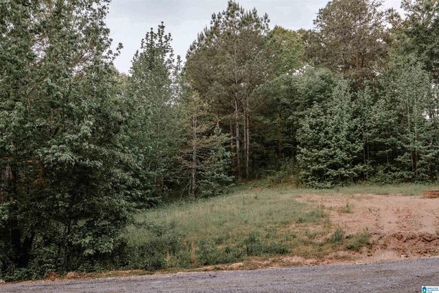 1678 HAYS CEMETERY ROAD, Hayden, AL 35079