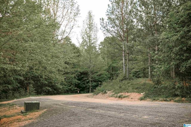 1678 HAYS CEMETERY ROAD, Hayden, AL 35079
